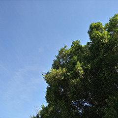 image01