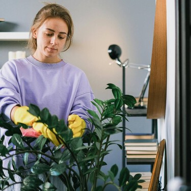 Esta es la manera de limpiar las hojas de tus plantas sin dañarlas con tres métodos seguros 