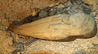 Nueva momia descubierta en el Valle de los Reyes, Egipto