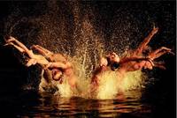 Freixenet: respuesta de la empresa y la adaptación social a la crisis