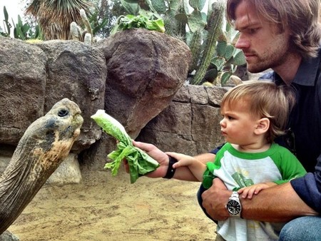 Segundo bebé a bordo para Jared Padalecki