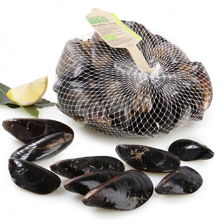 Df6ec194c83bb7db951d07640d333fc2 1500 0 0 0 Wmark 9f4764f4