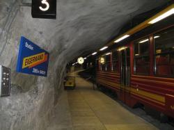 Tren