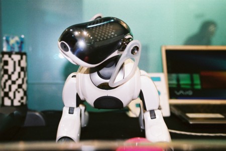 Los perros robot también son buenos para combatir la soledad