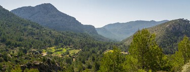 Mallorca se enfrenta a un dilema para salvar sus acuíferos: plantar un millón de árboles o construir otra gran desaladora
