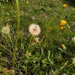 Foto 9 de 22 de la galería xiaomi-mi-max-camara-1 en Xataka Android