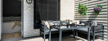 Aldi lanza hoy la planta perenne ideal para tener llena de flores la terraza o el balcón hasta principios del invierno
