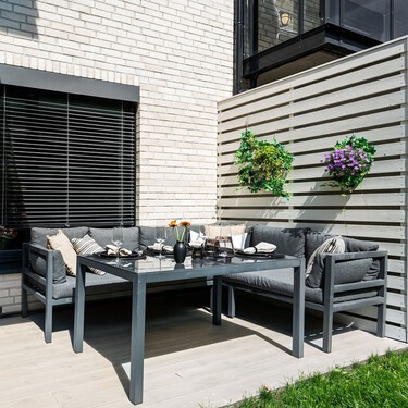 Aldi lanza mañana la planta perenne ideal para tener llena de flores la terraza o el balcón hasta principios del invierno 