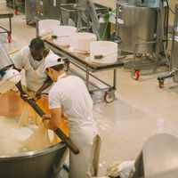 La fiebre del queso cottage está siendo tan salvaje que se ha convertido en un dolor de cabeza hasta para Mercadona: la industria no está lista para TikTok 