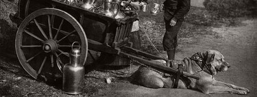 Perros que tiraban de carros de leche y ametralladoras. El mejor amigo del hombre también era su furgoneta cuando no existían las furgonetas