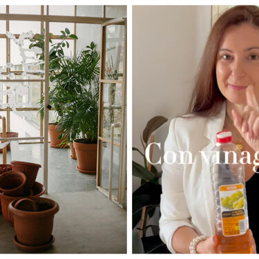 Araceli, experta en plantas: "El vinagre es mi truco estrella para cuidarlas"