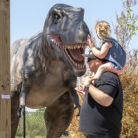 Cuando un parque temático de dinosaurios cerró, miles de familias vieron una oportunidad: plantar los muñecos en su jardín