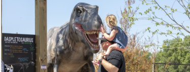 When a dinosaur theme park closed, thousands of families saw an opportunity: plant the dolls in their garden