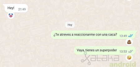 アプリケーションで許可されていないリアクションを伴う WhatsApp 会話