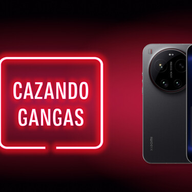 Cazando Gangas