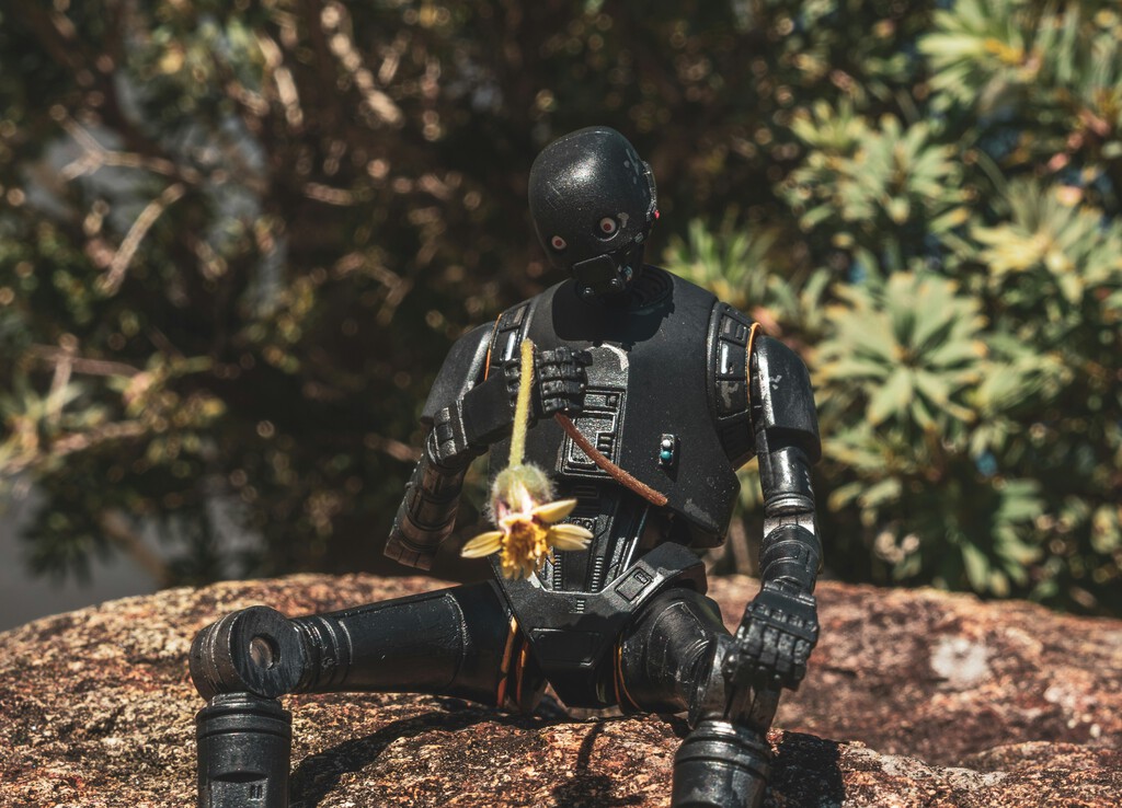 Los 'modelos de mundo' apuntan a ser la próxima gran revolución de la IA: es lo que necesita la robótica para parecerse a las películas