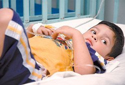 Arroz transgénico para la rehidratación de los niños con diarrea