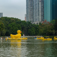 Shenzhen, el otro Sillicon Valley 
