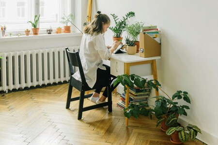 Plantas En Casa Interior