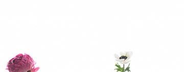 Manualidades para el Día de la Madre: botellas convertidas en floreros 