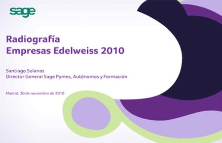Radiografía de Empresas Edelweiss 2010