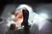 Día Internacional del bebé prematuro: pequeños grandes luchadores