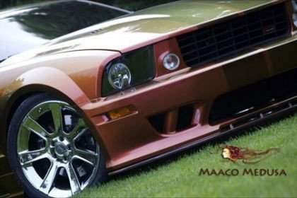 Maaco Medusa Mustang