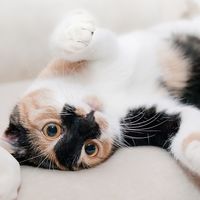 5 ejercicios de ‘mindfulness’ para hacer en la oficina 