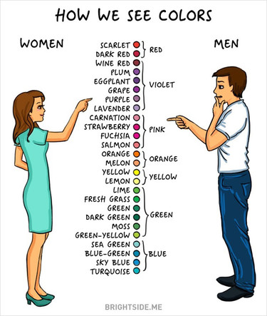 Diferencias (gráficas) entre un hombre y una mujer 