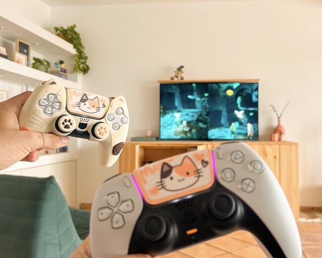 Videojuego Pareja Divertido Cooperativo Facil