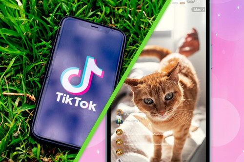 Tiktok Contenido