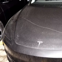 Tesla continúa derrumbándose. No sólo están cayendo sus ventas, ahora tenerlos también es un problema: ante tantos ataques, su costo de seguro se está disparando