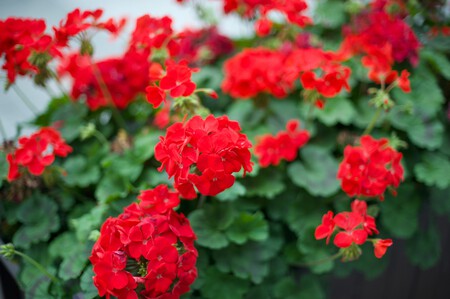 Lab18 H Dpmcbxnno Unsplash