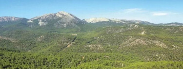 Un ingeniero español repobló 5.000 hectáreas de Sierra Espuña a escopetazos y 135 años después su bosque es un parque regional de 17.804 hectáreas