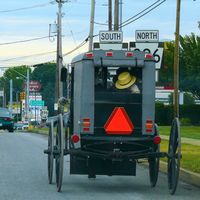 Los amish pasan de regular su transporte a caballo: nada de espejos retrovisores ni cinturones en los carros