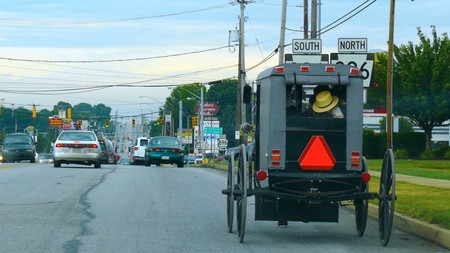 Los amish pasan de regular su transporte a caballo: nada de espejos retrovisores ni cinturones en los carros