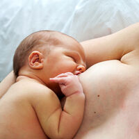 La lactancia materna, el piel con piel y los mimos compensan la microbiota de los bebés nacidos por cesárea 