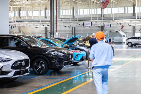 Mg Planta Mexico 1
