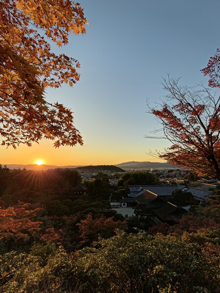 Oppo Find X9 Pro Analisis Review Experiencia Uso Mexico Pruebas Camara Ultra Gran Angular Fotos