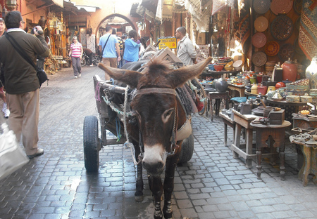 Medina de Marrakech