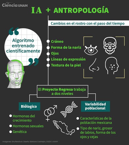 Proyecto Regresa 2