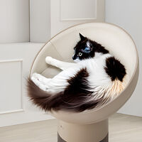 Es más pequeño que una cuna, tus gatos pueden dormir ahí y sirve para que no tengas alergias. El purificador de aire de LG en México 