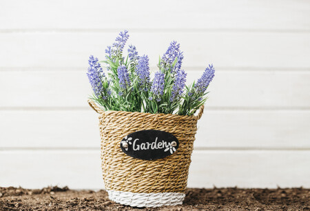 Idea De Jardineria Con Maceta