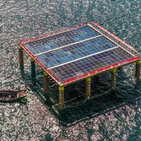 Inovação na China: o primeiro parque solar flutuante do mundo feito de bambu estreia em alto-mar para gerar energia limpa 