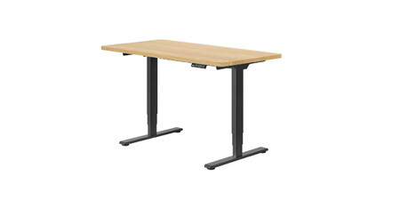 Escritorio Elevable Flexispot E5