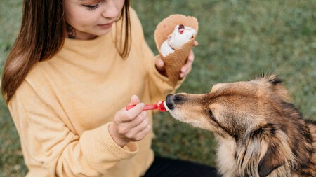 Como Hacer Helado Para Perro