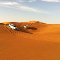 Viaje a Dubái: La típica excursión al desierto