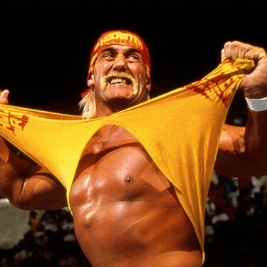 Wwe Hulk Hogan