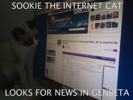 Internet is a series of blogs (LXXIII)