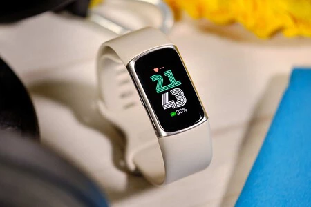 Fitbit チャージ 6